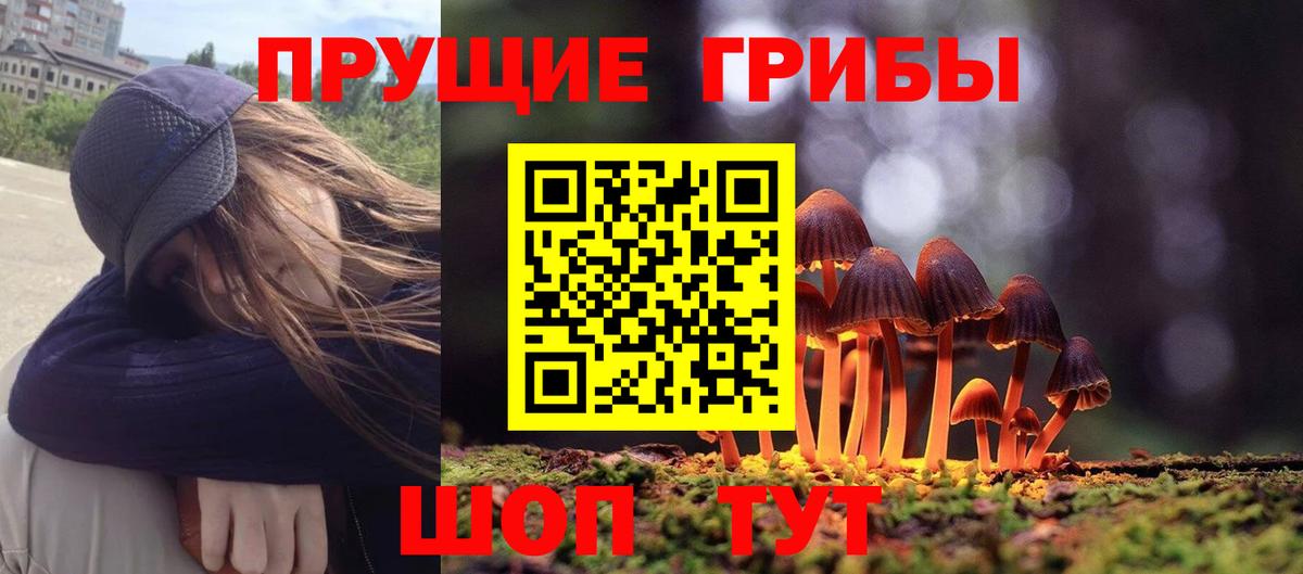 Галлюциногенные грибы MAGIC MUSHROOMS  Вход с VPN  купить наркотик  Жуковский  Галлюциногенные грибы MAGIC MUSHROOMS 